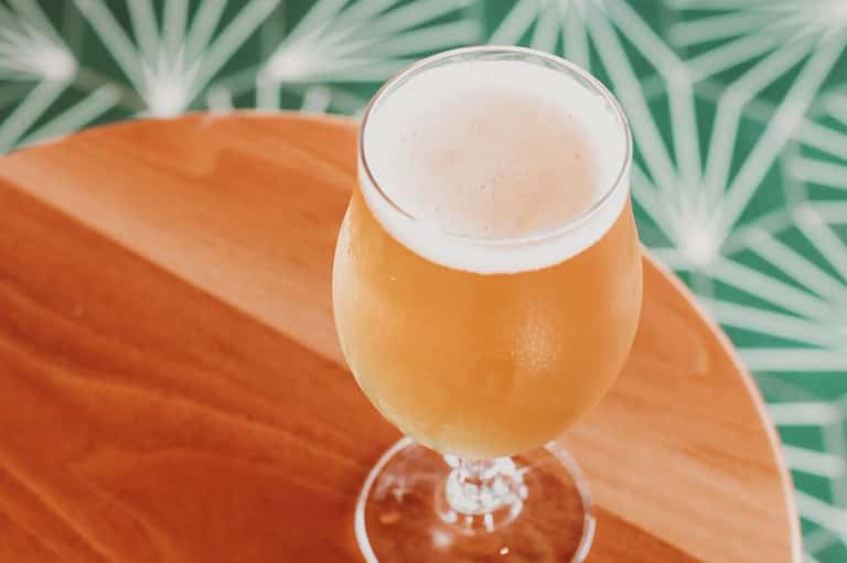 Craft beer in glass on tropical palm leaf patterned napkin