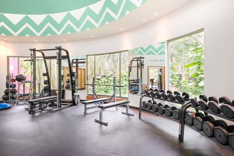 Modern gym with weight equipment, dumbbells, exercise machines, and large windows overlooking greenery
