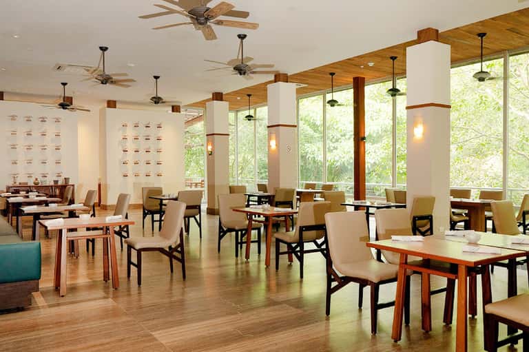 Contemporary dining space with wooden tables, beige chairs, ceiling fans, and floor-to-ceiling windows