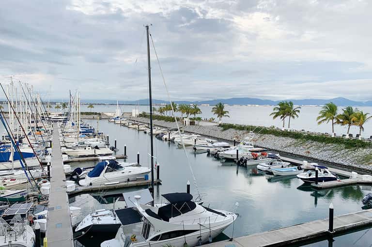 Marina with white sailboats docked at slips, palm trees, and mountains visible across the bay