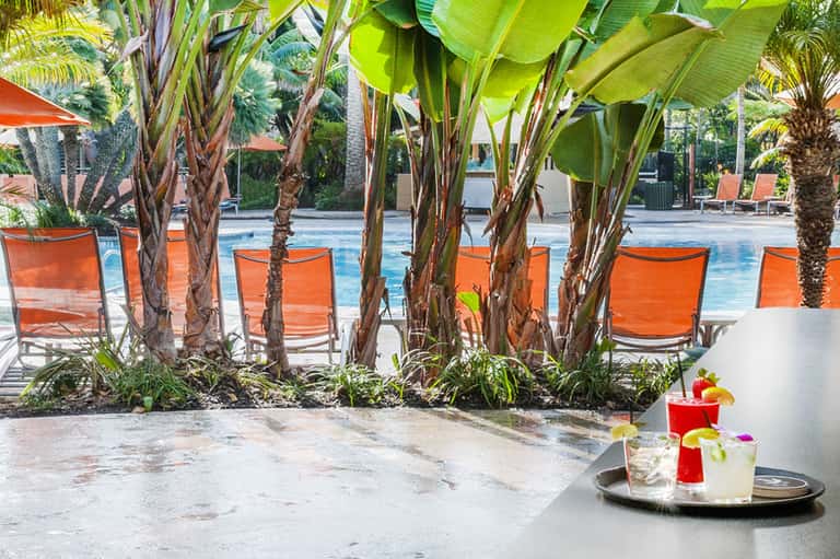 Tropical poolside cocktails on table with banana plants and lounge chairs in background