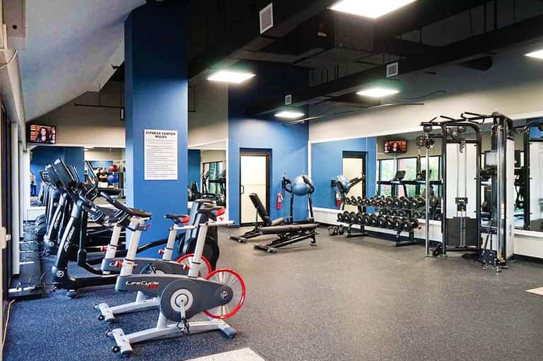 Modern fitness center with stationary bikes, weights, and cardio equipment