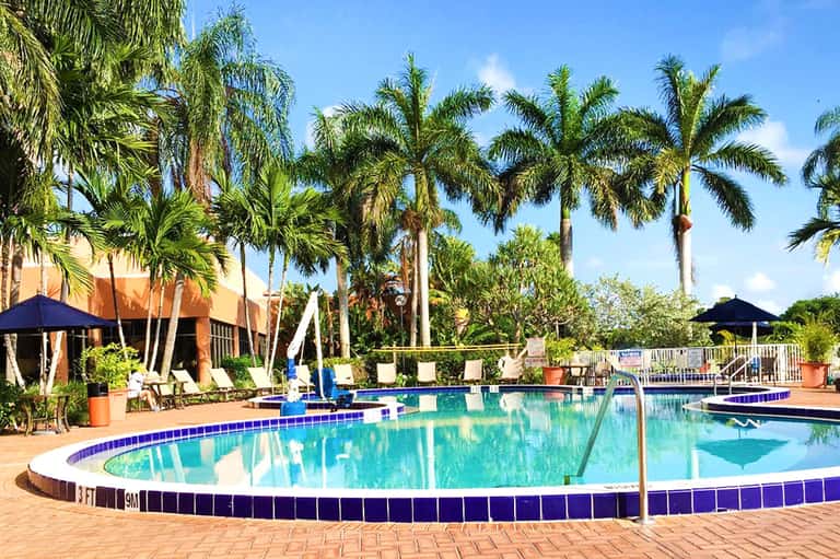 Circular resort pool surrounded by palm trees with lounge chairs and tropical landscaping