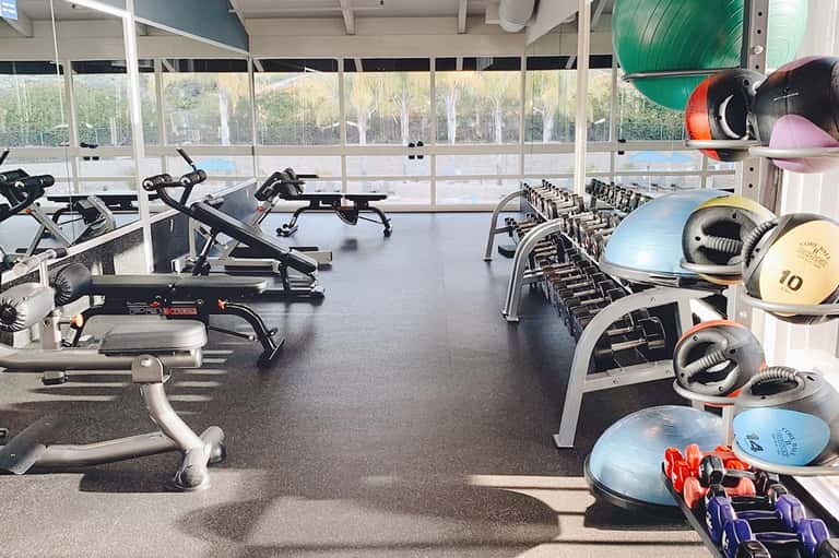 Modern fitness center with cardio equipment, dumbbells, and large windows overlooking grounds