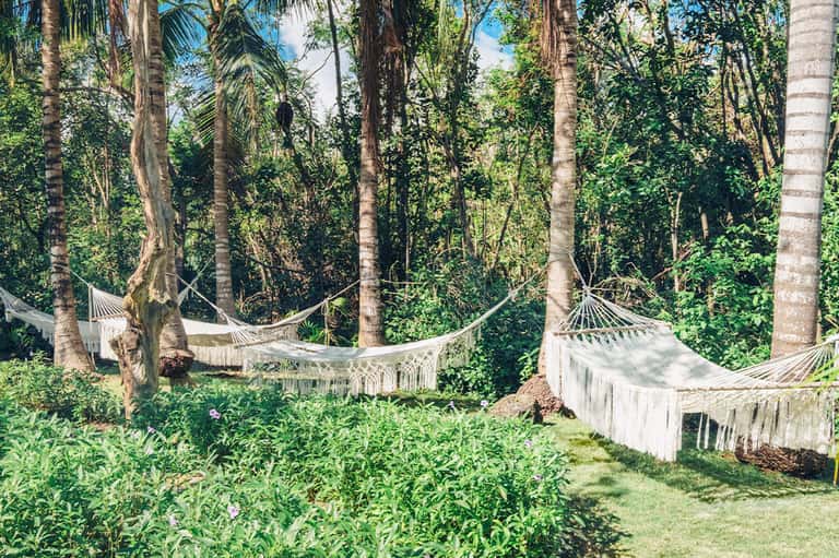 White hammocks strung between palm trees in lush tropical jungle setting