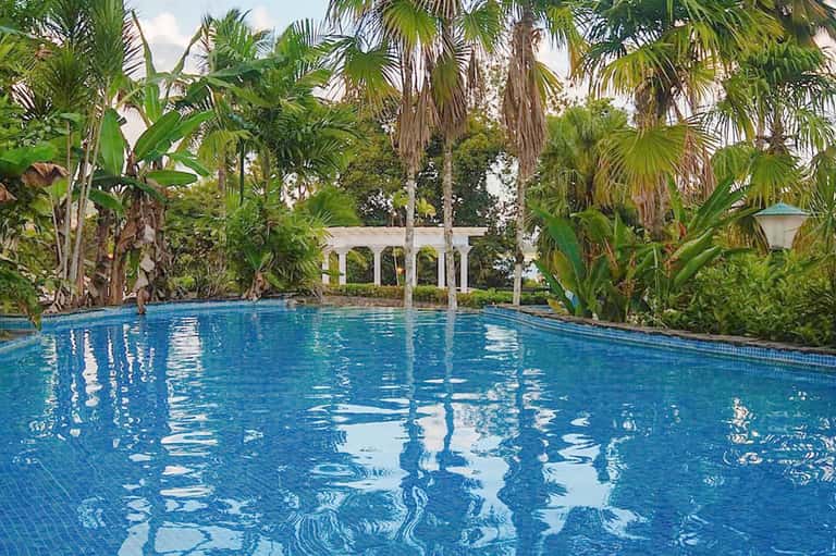 Rectangular pool surrounded by tropical palm trees with white pergola structure and lush green landscaping