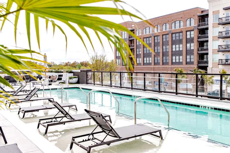 Rooftop pool overlooking brick buildings with lounge chairs and palm fronds in urban setting