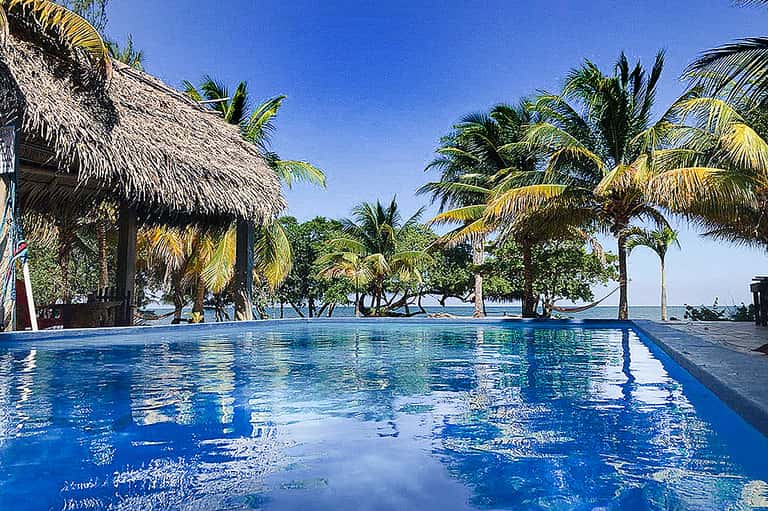 Tropical resort pool with thatched roof cabana, palm trees, and ocean view at horizon