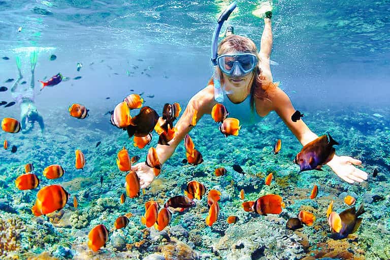 Snorkeler surrounded by colorful tropical fish and coral reef underwater
