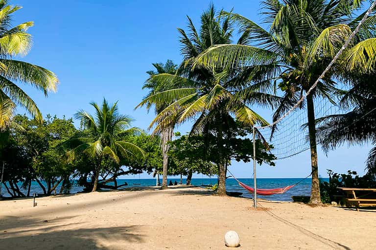 Tropical beach scene with palm trees, sandy shore, hammocks, and ocean view