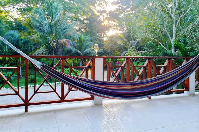 Hammock overlooking tropical garden and palm trees from resort terrace