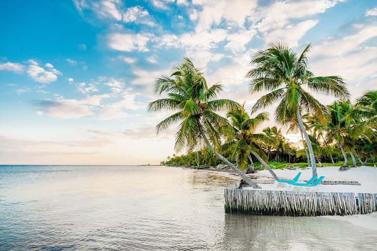 Serene beach with pale sand, turquoise shallow water, palm trees, and clear blue sky