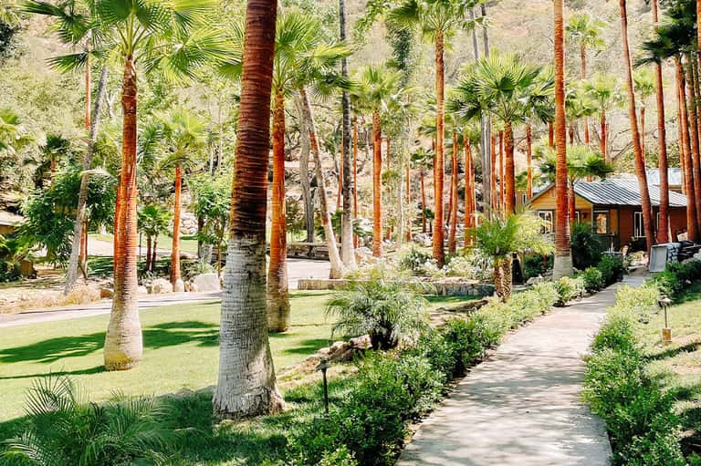 Palm tree-lined pathway with manicured lawn and red building nestled in hillside landscape