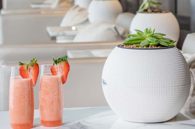 Two strawberry cocktails with fresh fruit garnish beside potted succulent plant
