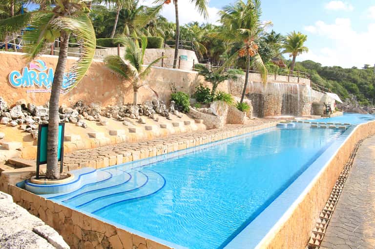 Bright blue resort swimming pool lined with palm trees and rocky terrain landscaping