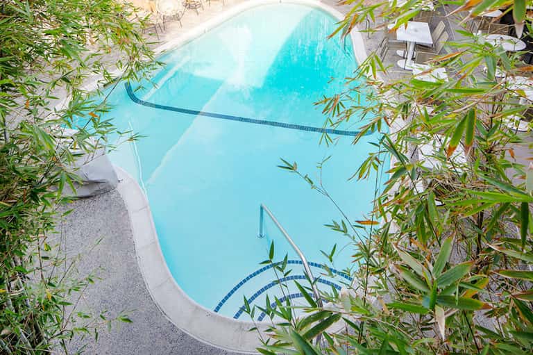 Resort swimming pool surrounded by bamboo landscaping and patio seating area