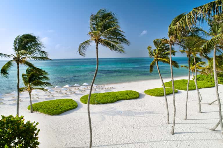 Pristine white sand beach with palm trees, turquoise ocean, and lounge chairs