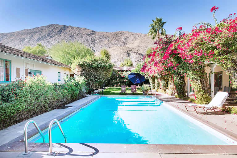 Resort pool surrounded by blooming magenta flowers, white buildings, and desert mountain backdrop
