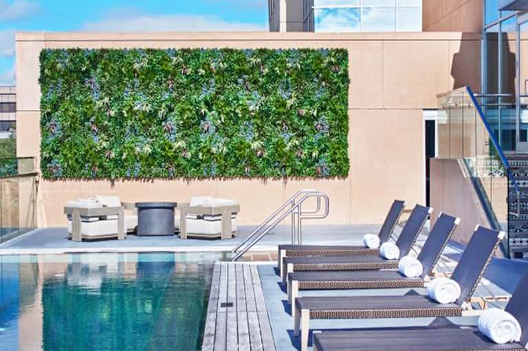 Rooftop pool deck with lounge chairs, living green wall with purple flowers, and city skyline views