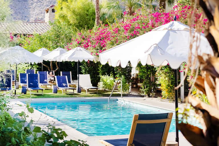 Resort pool with white umbrellas and blue lounge chairs overlooking vibrant magenta bougainvillea flowers