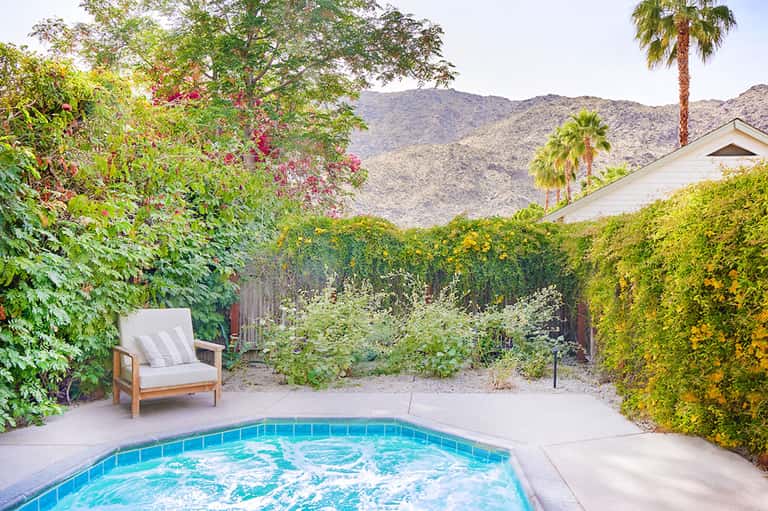 Private backyard pool surrounded by lush green hedges and desert mountains