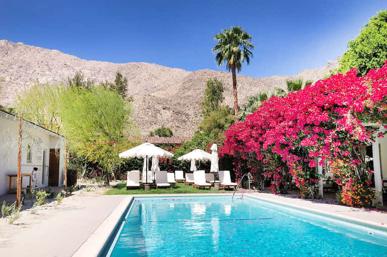 Courtyard pool surrounded by vibrant magenta bougainvillea flowers and desert mountains