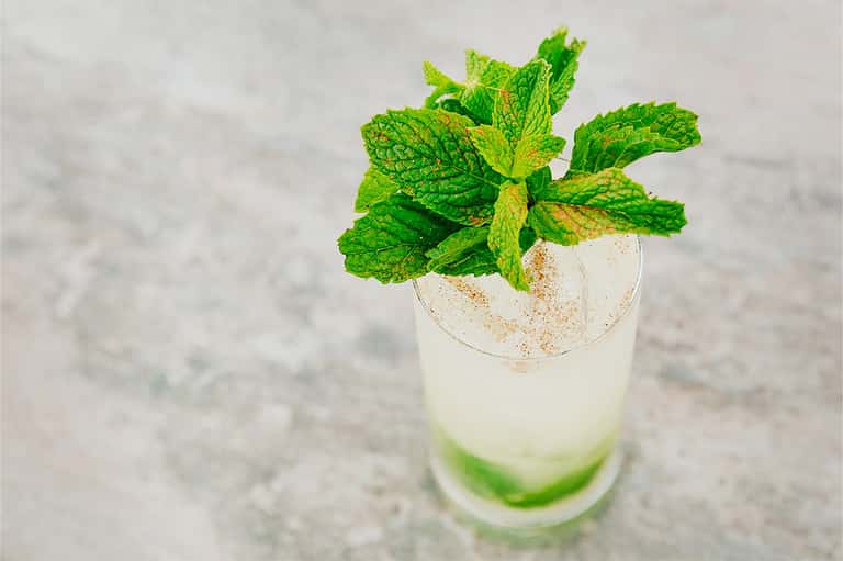 Mint mojito cocktail with fresh mint leaves and spiced rim on marble surface