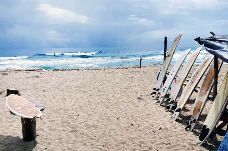 Surfboards lined up on sandy beach with waves and surfers in the ocean background