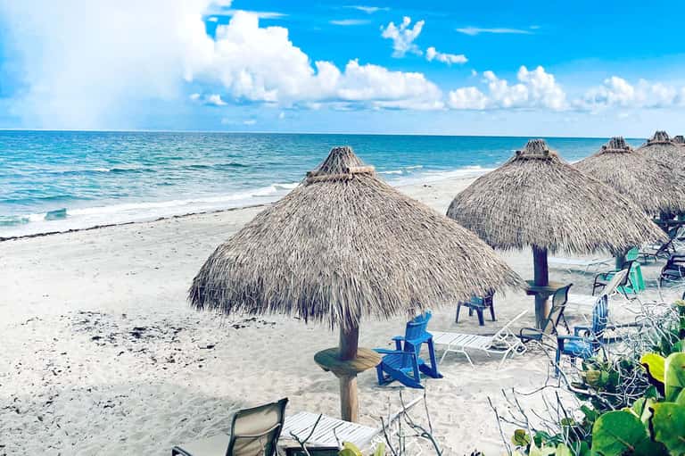 Tropical beach with thatched umbrellas, lounge chairs, turquoise water, and palm trees