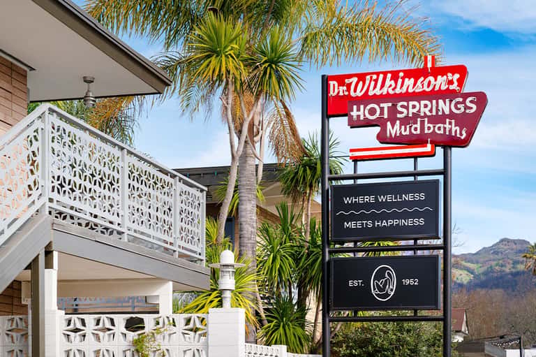 Dr. Wilkinson's Hot Springs Mud Baths vintage neon sign with palm trees
