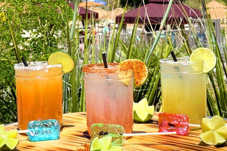 Three tropical cocktails with lime garnish on wooden table surrounded by green plants