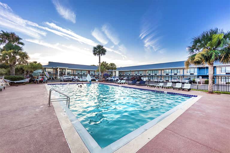 Olympic-sized outdoor swimming pool with palm trees, buildings, and blue sky at daytime