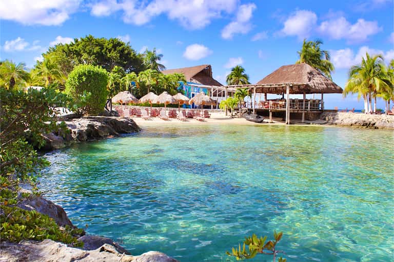 Tropical beachfront bar with thatched roof, palm trees, and crystal-clear ocean water