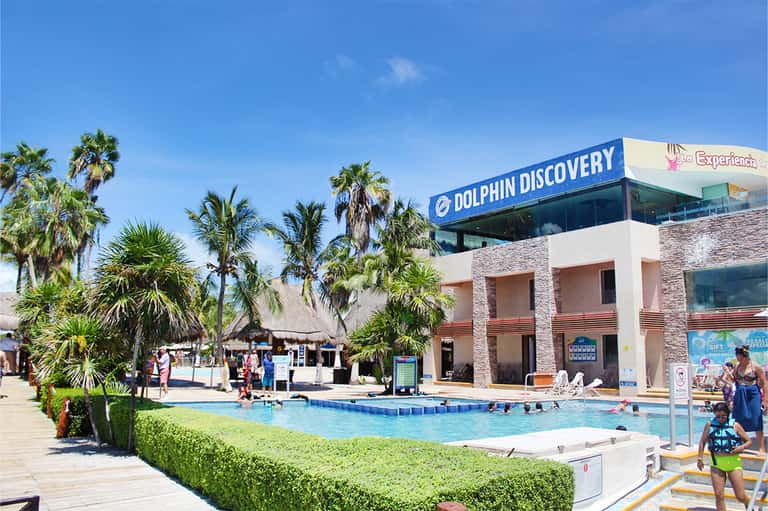 Dolphin Discovery facility with pool, palm trees, and thatched-roof structures under clear blue sky
