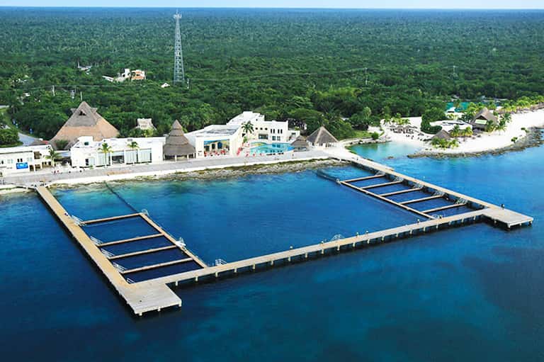 Aerial view of overwater fish farm with pyramid-shaped structures and surrounding jungle landscape
