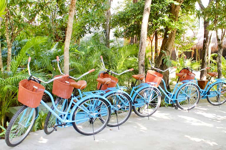 Row of blue and turquoise bicycles with orange baskets parked among palm trees and tropical vegetation