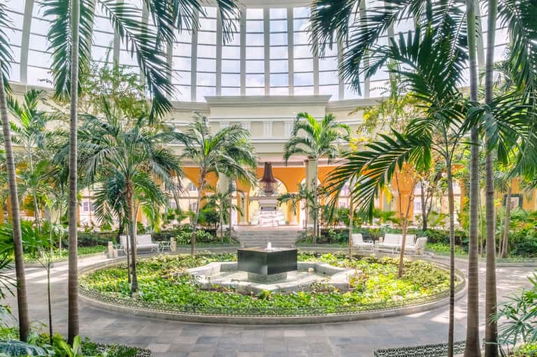 Indoor atrium with tall palm trees, glass ceiling, and central water feature with yellow architectural backdrop