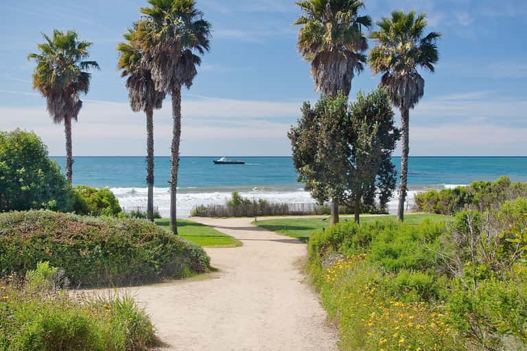 Sandy beach pathway lined with palm trees leading to ocean under blue sky