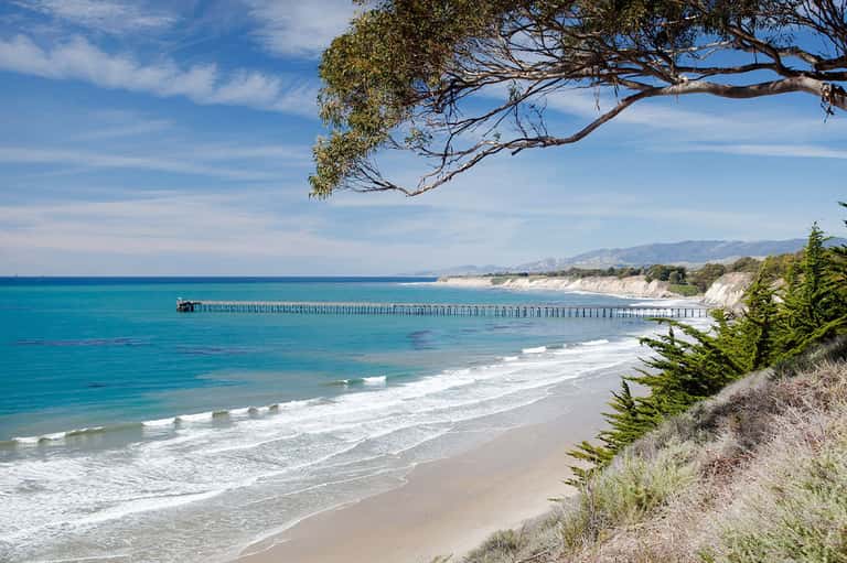 Scenic coastal bluffs with pier, turquoise water, and native tree overlooking beach