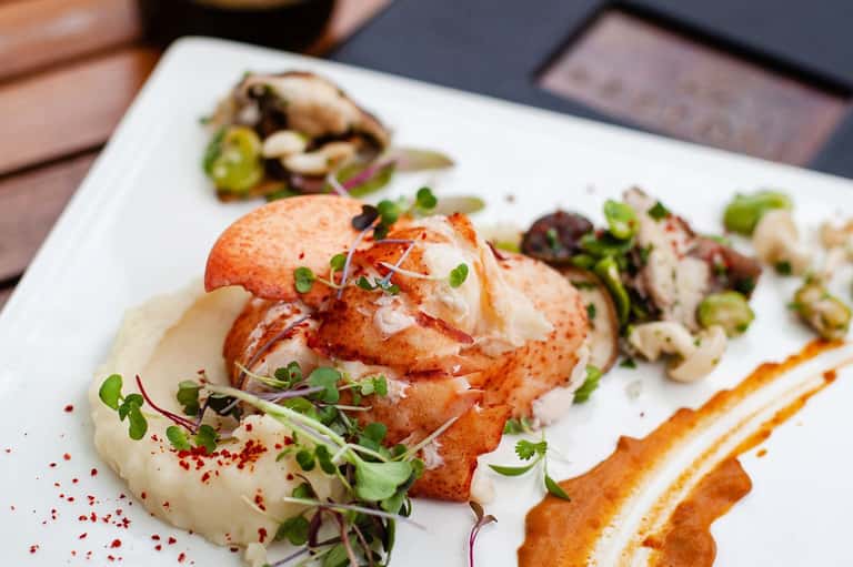 Plated gourmet dish with seared protein, microgreens, and artistic presentation on white plate
