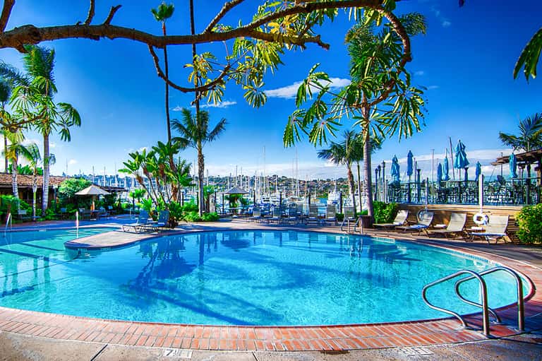 Resort pool overlooking marina with sailboats, palm trees, and blue sky