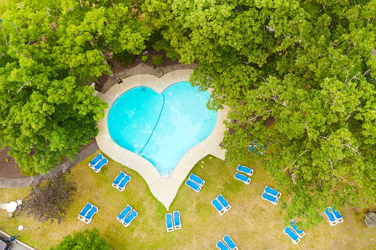 Overhead view of heart-shaped pool surrounded by green trees and blue lounge chairs