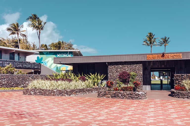 Modern Scailde hotel entrance with red brick patio, palm trees, and clear blue sky