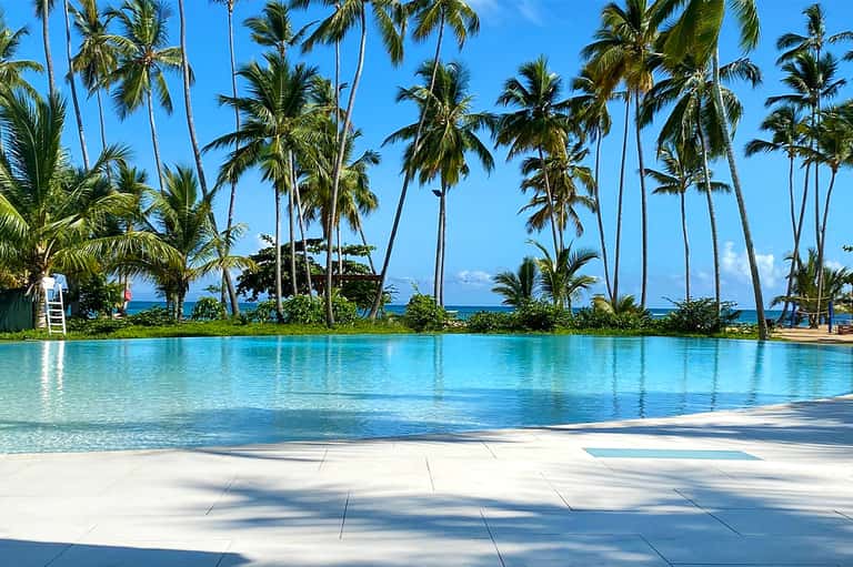 Infinity pool overlooking the ocean with palm trees and tropical vegetation under clear blue sky