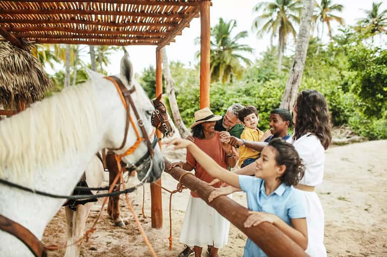 Family interacting with white horses under wooden pergola on tropical beach sand