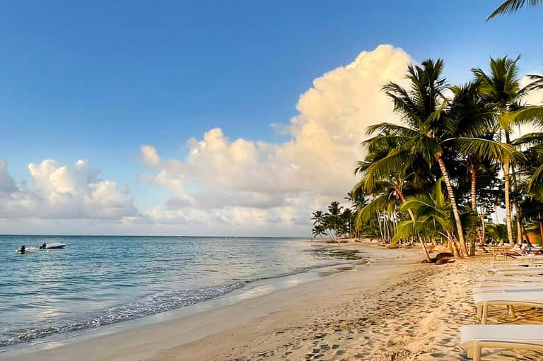 Tropical beach with palm trees, calm turquoise water, and white sand