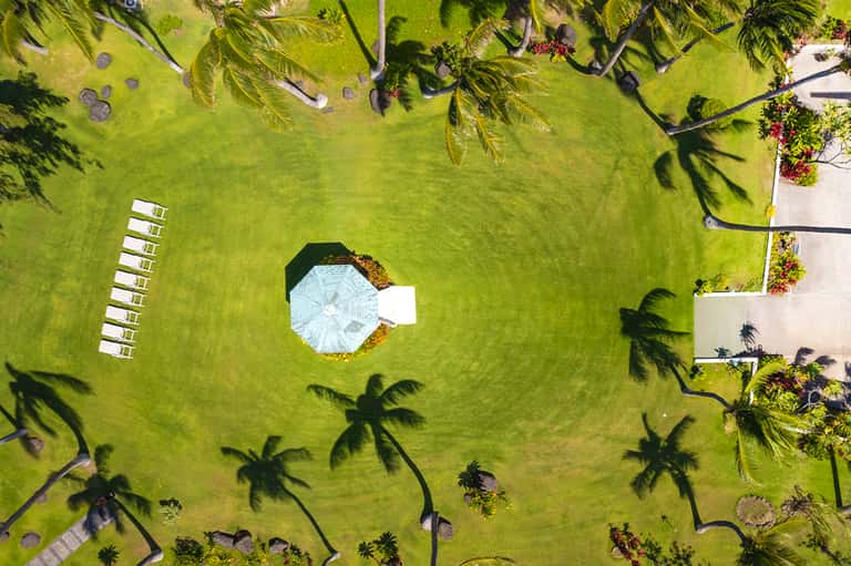 Aerial view of lush green lawn with lounge chairs, palm tree shadows, and white umbrellas