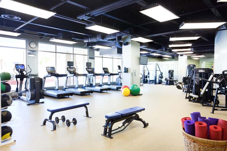 Modern fitness center with cardio equipment, weights, exercise balls, and large windows