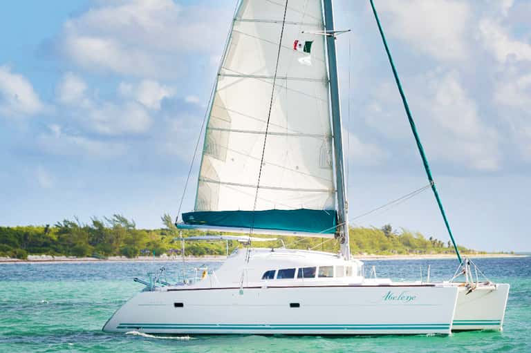 White catamaran sailboat with blue sail on turquoise water near tropical beach with mangroves