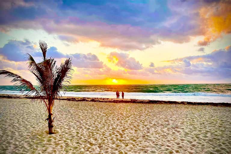 Sunset beach scene with palm tree, colorful sky, ocean waves, and silhouetted figures